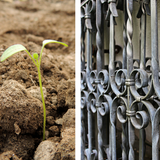 Preguntas y respuestas: &iquest;Cu&aacute;l de los Cinco Elementos es tu Elemento Predominante?