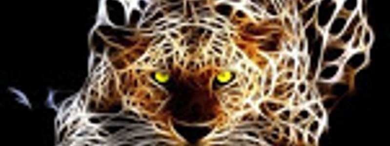 Cual personaje de Rabix14 eres!! test 