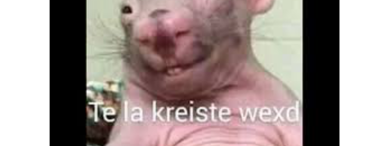 Que momo eres