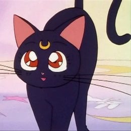 &iquest;C&oacute;mo se conocen Serena y Luna? - &iquest;Cu&aacute;nto sabes del anime "Sailor Moon?