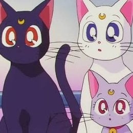 Nombres de la familia de Luna - &iquest;Cu&aacute;nto sabes del anime "Sailor Moon?