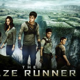 Como se llama el lugar donde est&aacute;n los chicos? - Cuanto sabes de Maze Runner?