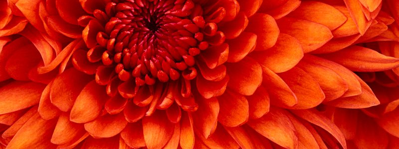 Test de tu personalidad