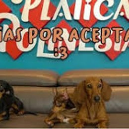 CUANTAS MASCOTAS HAN TENIDO VIVAS O MUERTAS? - QUE TAN POLINESIO ERES?