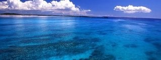 Día Mundial del Agua
