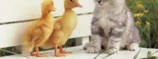 TEST DE CONOCIMIENTO 