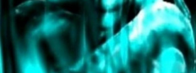 que tipo de serpiente eres