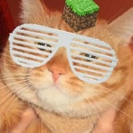 &iquest;de quien es gato este gato? - &iquest;Cuanto sabes de elrubiusOMG?