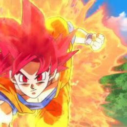 Cuantos A&ntilde;os Tiene Goku - Cuanto Sabes De Dragon Ball