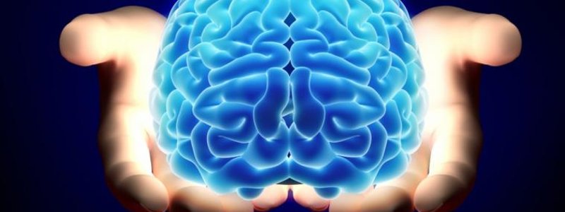 ¿Teoría matemática o cibernética?