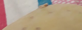 Que Patata eres