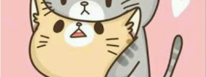 ¡¡¡QUE TAN KAWAII ERE!!!