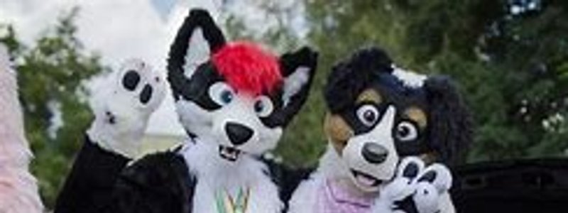 Cual es tu fursona ideal