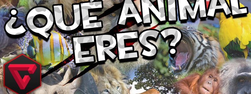 Que animal eres según tu personalidad?