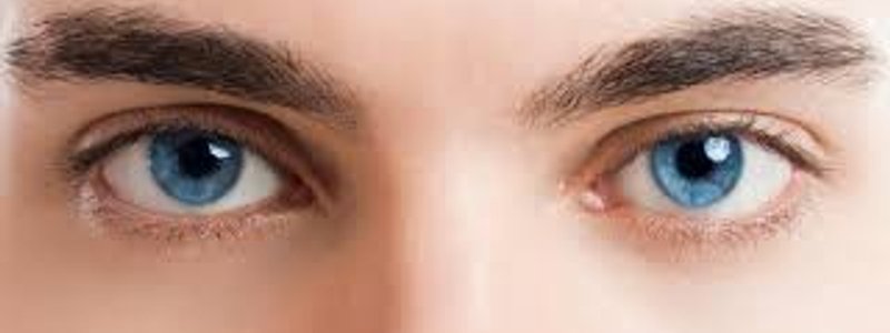 Enfermedades Oculares.