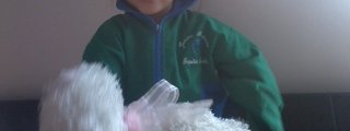 cuanto sabes de sahi