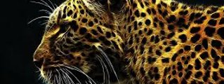 ¿como eres?