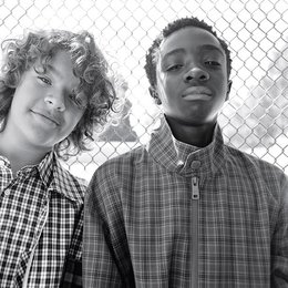 Ultima pregunta: quien es el mas gracioso? - Cuanto sabes de stranger things