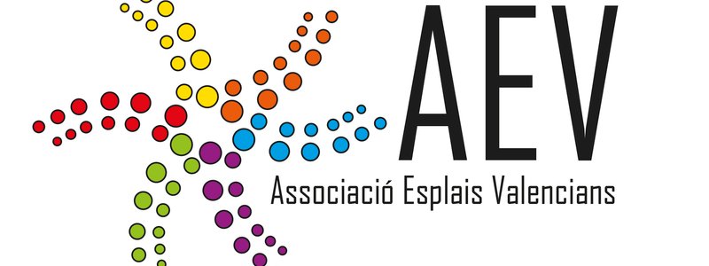 El quiz del voluntariat