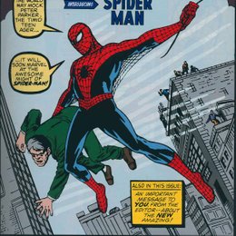&iquest;En que a&ntilde;o spider man debuto en los comics? - &iquest;cuanto sabes sobre spider man?