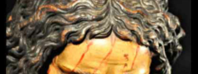 Test cofrade