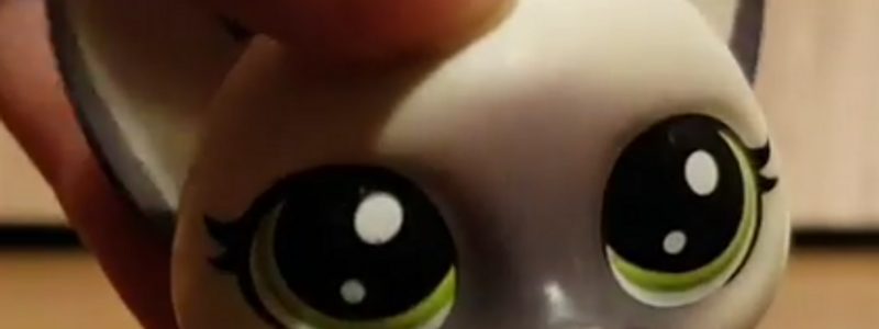 ¿Cuanto conoces a Caty LPS ! ?
