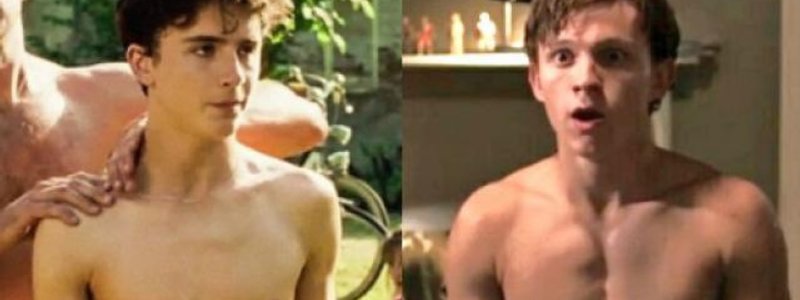 Cuál es tu chico ideal ¿Tom Holland o Timothée Chalamet?