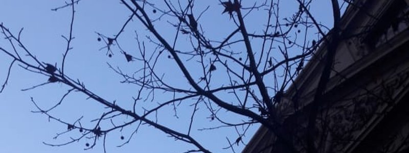 &iquest;Cu&aacute;l es tu n&uacute;mero de la suerte? 🍀