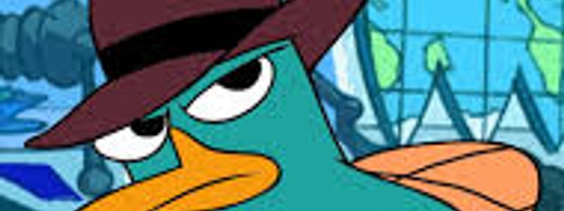 Que tipo de perry eres?