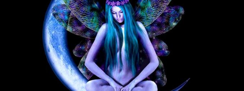 Que tipo de hada eres