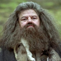 C&oacute;mo se llama la mascota que Hagrid le prest&oacute; a Dombuldore, para cuidar la piedra filosofal? - QU&Eacute; TAN POTTERHEAD ERES?