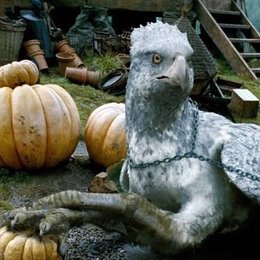 Qu&eacute; tipo de animal fant&aacute;stico es Buckbeack? - QU&Eacute; TAN POTTERHEAD ERES?