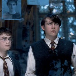 De qui&eacute;n est&aacute; enamorado Neville Longbottom? - QU&Eacute; TAN POTTERHEAD ERES?