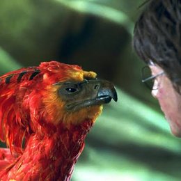 Qu&eacute; es lo que hace el llanto de Fawkes? - QU&Eacute; TAN POTTERHEAD ERES?