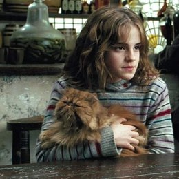 Cu&aacute;l es el nombre del gato de Hermione? - QU&Eacute; TAN POTTERHEAD ERES?