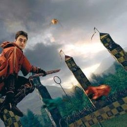 Qu&eacute; escoba le obsequi&oacute; la profesora McGonagall a Harry Potter?  - QU&Eacute; TAN POTTERHEAD ERES?