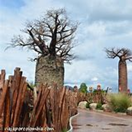 Que Zool&oacute;gico es el Mejor y mas grande? - Test de Colombia