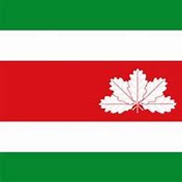 Que bandera es esta? - Test de Colombia