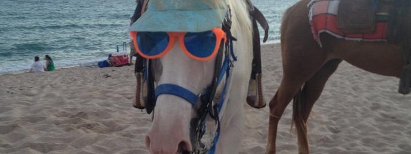 &iquest;Cuanto sabes de Espa&ntilde;ol?,parte 2