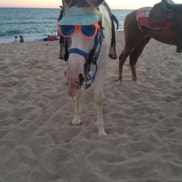 La prevencion del bullying implica - &iquest;Cuanto sabes de Espa&ntilde;ol?,parte 2