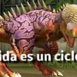 Si hay sol, hay playa - &iquest;Cu&aacute;nto reggaeton has escuchado?