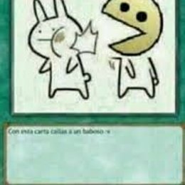 Ella gusta de ti? - Cuanto sabes de ella?