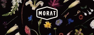Cuanto sabes sobre Morat
