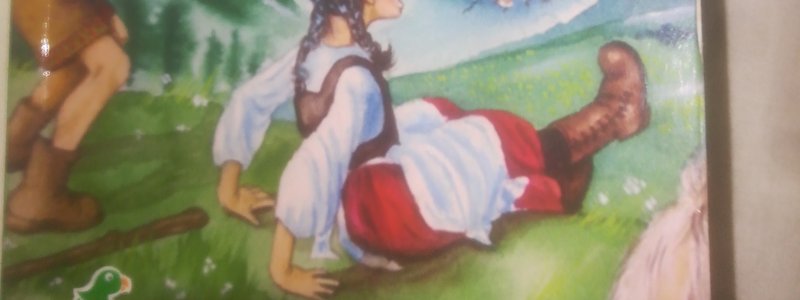 Libro de heidi