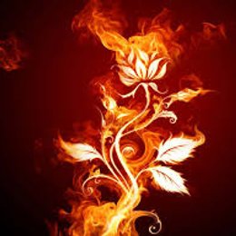 &iquest;que prefiero? - &iquest;cuanto sabes de mi ? 2 