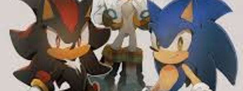 Que tipo de chico de Sonic,Silver y Shadow seria t&uacute; pareja?