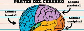 Cuanto conoces de sk