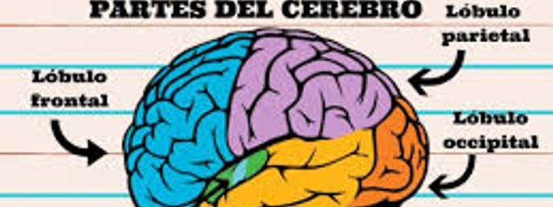 Cuanto conoces de sk