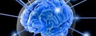 DESARROLLO DE LA CIENCIA 