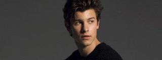 shawn mendes test